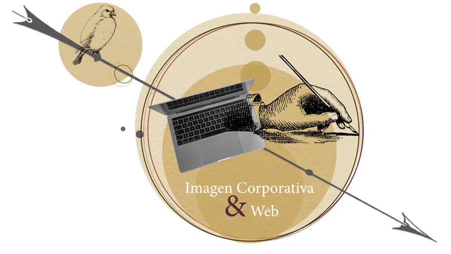 Cabecera-Branding-creare